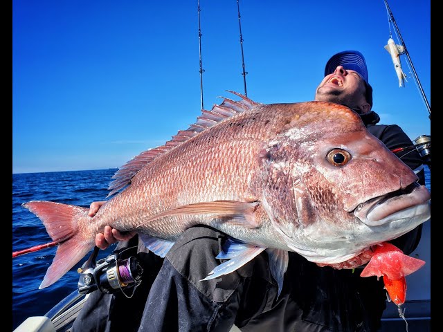 Leurre JLC Xipi EVO – Le Roi du Jigging en Tunisie