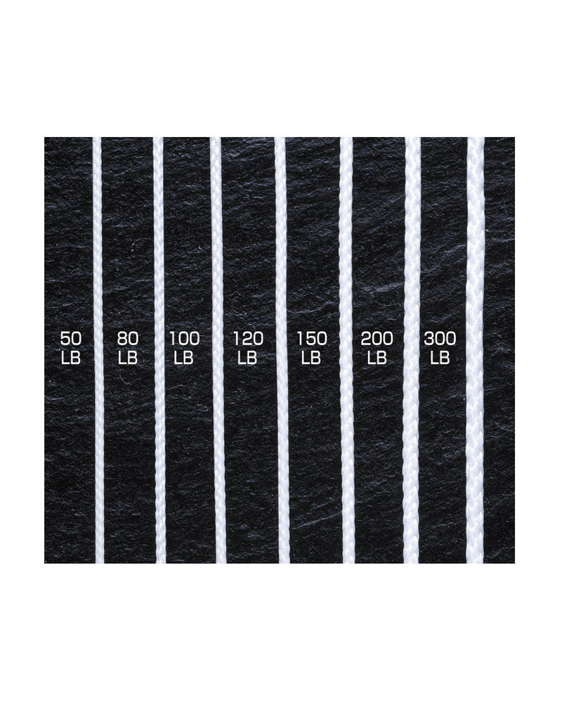 Corde Dyneema Shout 89-AP Assist PE Line 150 lb 3 m