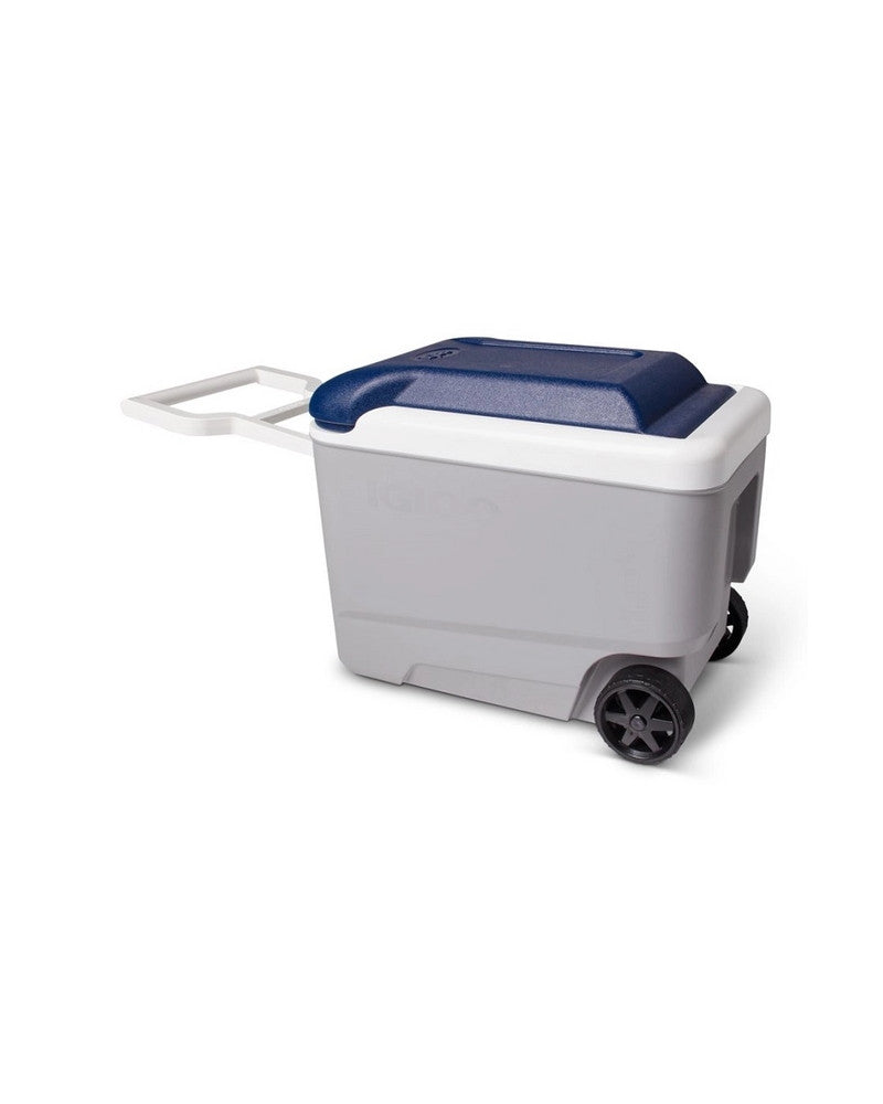 Glacière Igloo MaxCold 40QT (37 Litres) – Performance Thermique 5 Jours