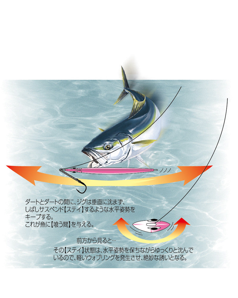 https://albatrostunisie.com/1309-large_default/jig-shout-stay-60g-.jpg