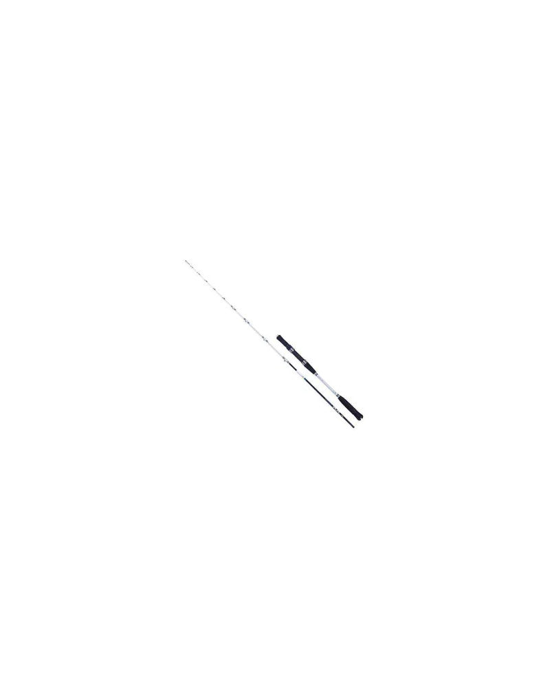 Kali Kunnan Brava Canne Jigging Light Jigging Carbone 2 Sections